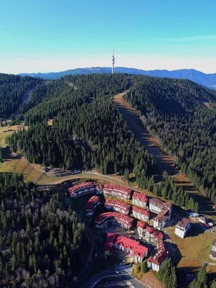Viva 4-A-23 Apartment Ski To The Door Complex Grand Monastery Pamporovo Extérieur photo